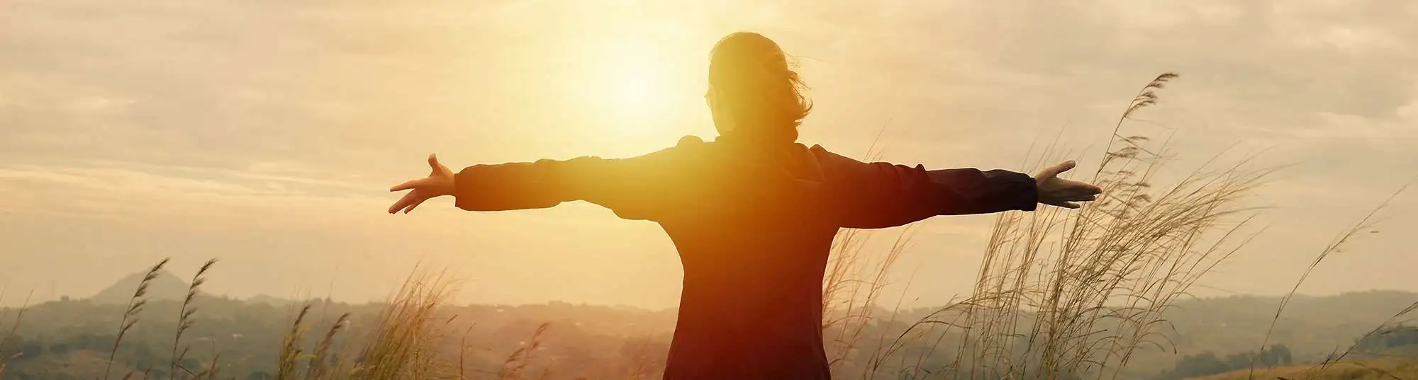 emdr-therapy-los-angeles-ca-90034